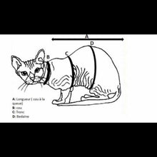 Charger l'image dans la galerie, Chandail  long à capuche - Light gray & Love