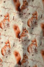 Load image into Gallery viewer, Pyjama SQUISHY -  Écureuils 🐿️