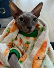 Load image into Gallery viewer, SQUISHY Pajamas - Carrots 🥕