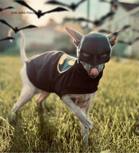 Load image into Gallery viewer, Sweater - BATCAT BLACK