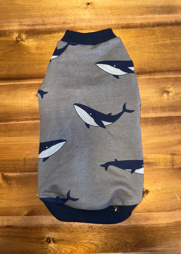Crew neck - Whale