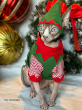 Load image into Gallery viewer, Elf Sweater (only)