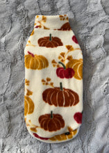 Charger l&#39;image dans la galerie, Kiwi - Pumpkin