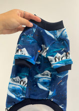 Load image into Gallery viewer, SQUISHY Pajamas - Antarctic Life