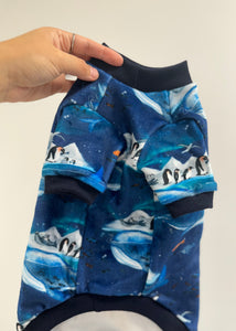SQUISHY Pajamas - Antarctic Life