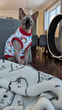 Load image into Gallery viewer, Pyjama SQUISHY - Loutres de l’amour