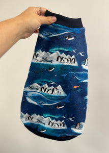SQUISHY Pajamas - Antarctic Life