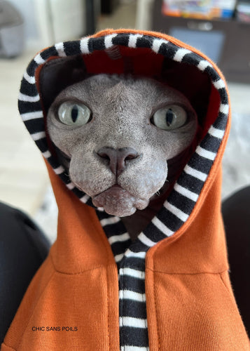 Long Hooded Henley Sweater - Maple & Striped