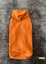 Charger l&#39;image dans la galerie, Chandail long à capuche Henley - Érable &amp; rayé