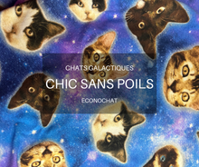 Load image into Gallery viewer, ECONOCHAT - Galactic Cats