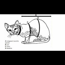 Load image into Gallery viewer, Turtleneck - Lollipop Kitty