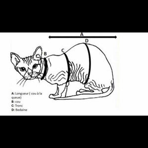 Turtleneck - Lollipop Kitty