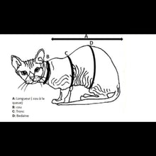 Load image into Gallery viewer, ECONOCHAT - Galactic Cats