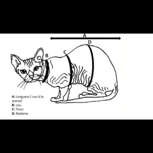 ECONOCHAT - Galactic Cats
