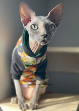 Load image into Gallery viewer, Long Hooded Sweater - Wizard &amp; friend