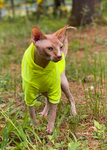 Long sleeve hoodie - NEON Yellow