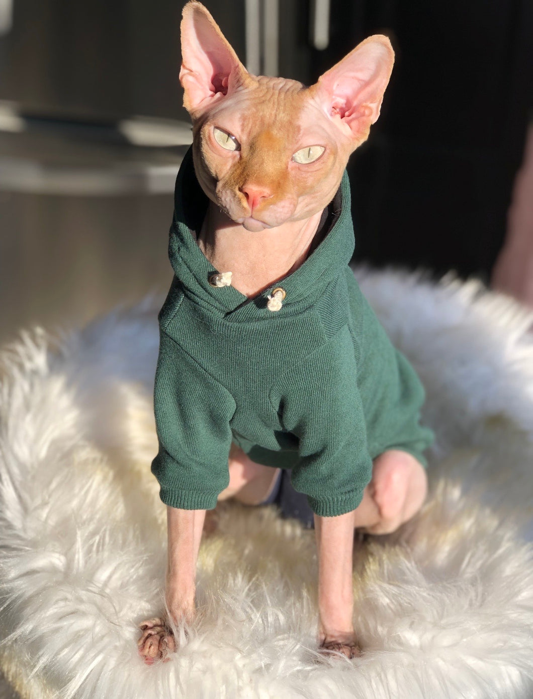 Bamboo Hoodie - Forest Green