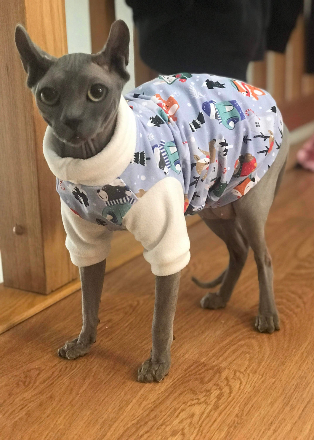 Long sleeve turtleneck - Winter animals and polar
