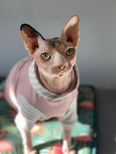 Load image into Gallery viewer, Long hooded sweater - LOVE old pink &amp; striped