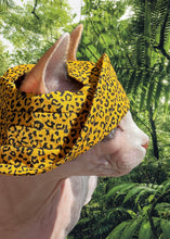 Load image into Gallery viewer, BOB - Cheetah