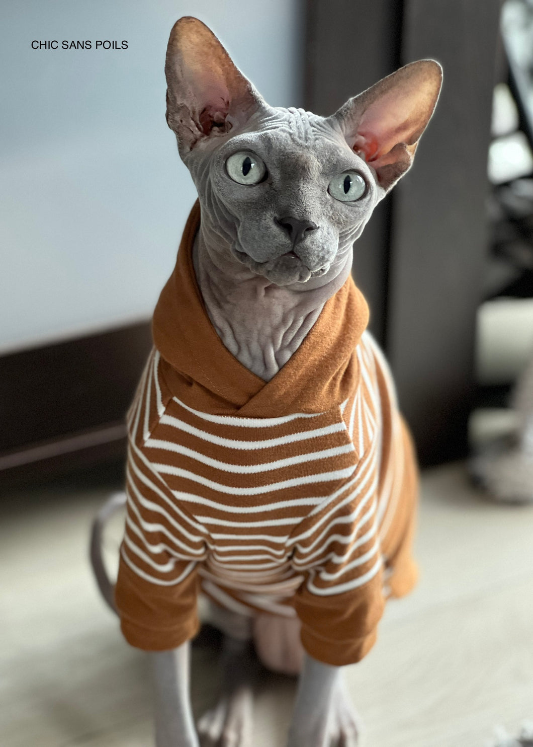 Long Curve Hooded Sweater - Caramel & Striped