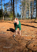 Charger l&#39;image dans la galerie, Chandail  long à capuche - Vert foncé