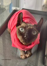 Load image into Gallery viewer, Long sleeve hoodie - NEON Pink