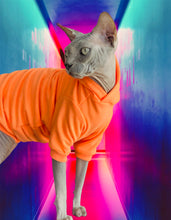 Load image into Gallery viewer, Long sleeve hoodie - NEON Orange