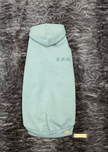 Load image into Gallery viewer, Long sleeve hoodie - ALPINE