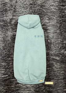 Long sleeve hoodie - ALPINE