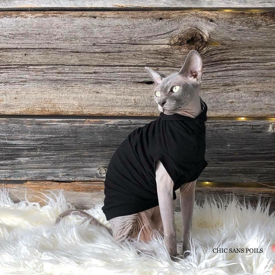 The Hooded Turtleneck