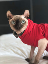 Load image into Gallery viewer, The Hooded Turtleneck